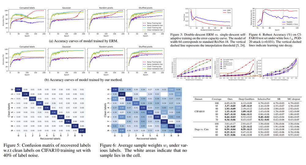 Self-Adaptive Training: beyond Empirical Risk Minimization